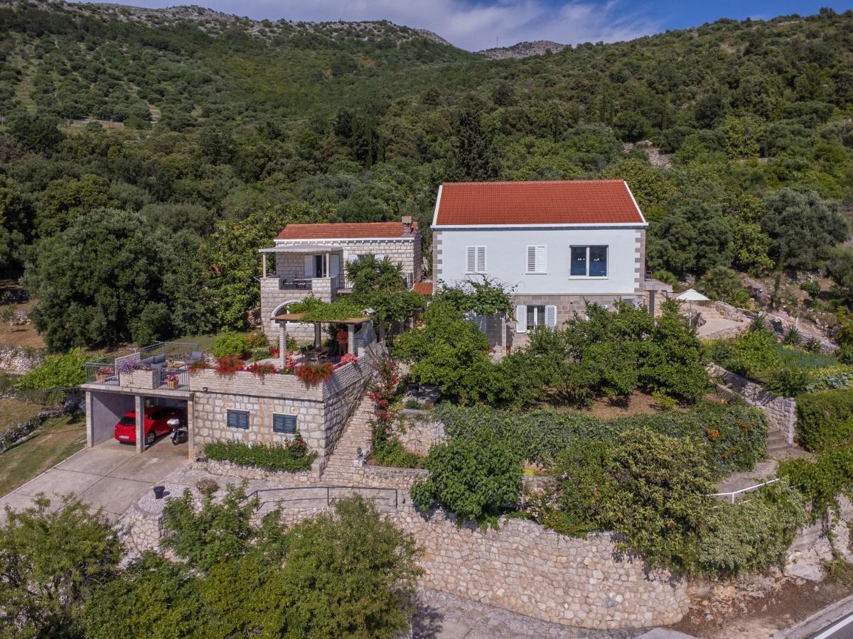 Apartment And Milos Zaton (Dubrovnik-Neretva)